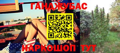 МДПВ Можга